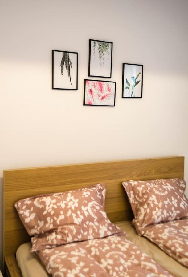 Paul'S Place. New Rooftop Apartment In Downtown Sibiu Buitenkant foto